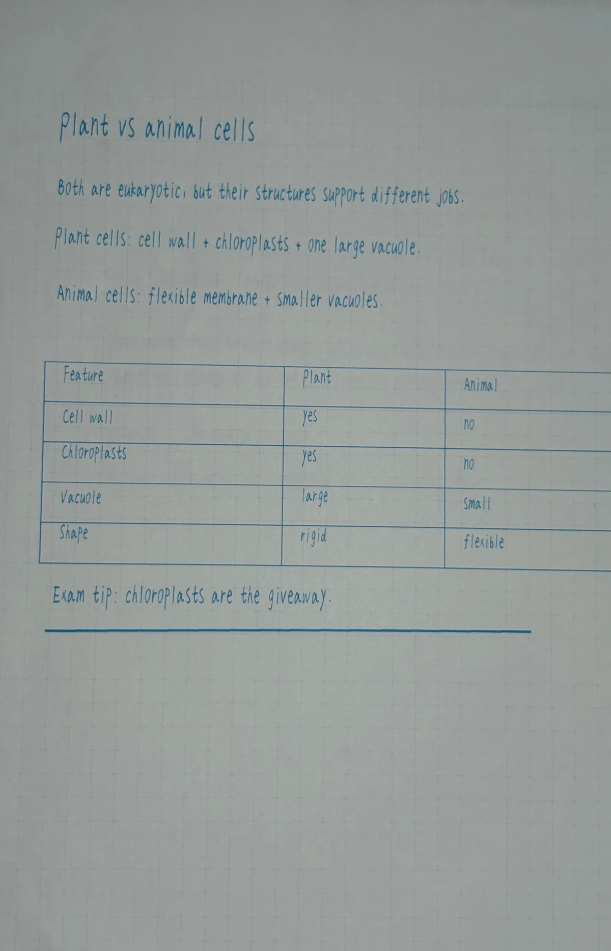 Gedruckte Letter-Seite mit Lernnotizen zu Pflanzen- versus Tierzellen in Original Handwriting 01 auf festem Rasterpapier mit Vergleichstabelle
