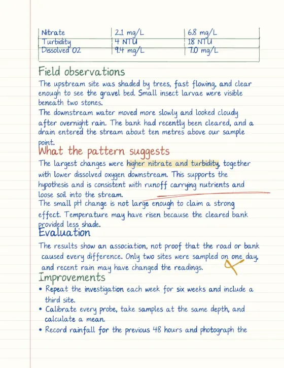 Generated page 2 of the assignment mockup with a results table, field observations, and analysis